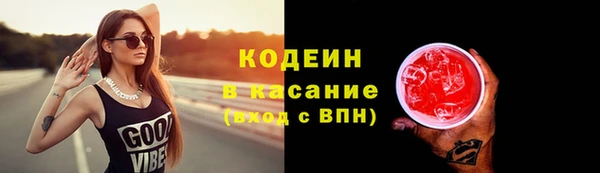 шишки Белоозёрский