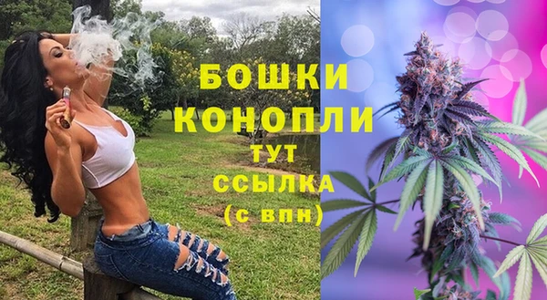 первитин Бородино