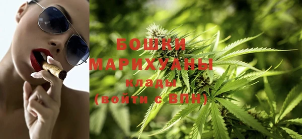 PSILOCYBIN Богородицк