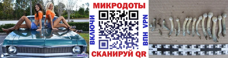 Псилоцибиновые грибы MAGIC MUSHROOMS  Светогорск 